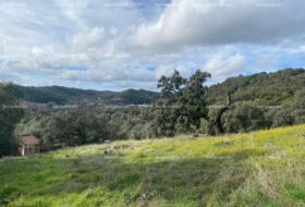 Almonaster la Real 1956&nbsp;m²