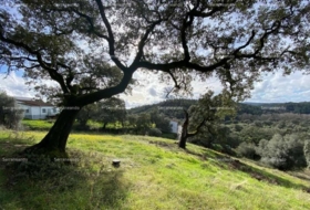 Almonaster la Real 1956&nbsp;m²