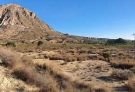 el Rebolledo 42700&nbsp;m² 