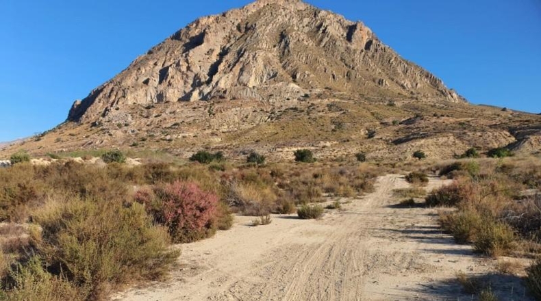 Alicante - el Rebolledo - 42700m2