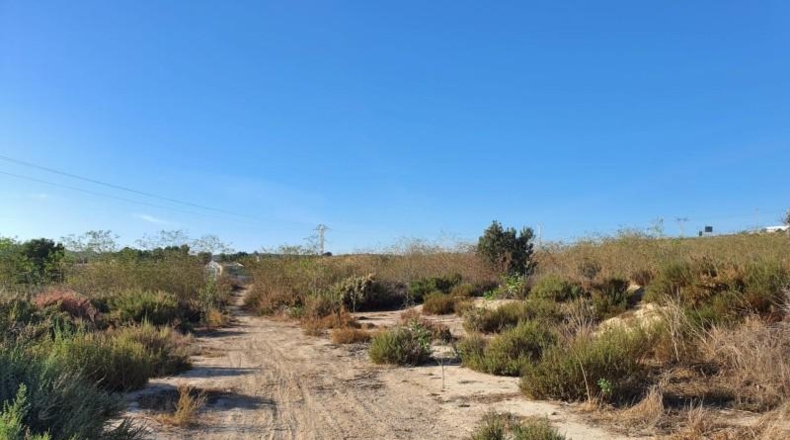 Alicante - el Rebolledo - 42700m2