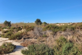 el Rebolledo 42700&nbsp;m² 