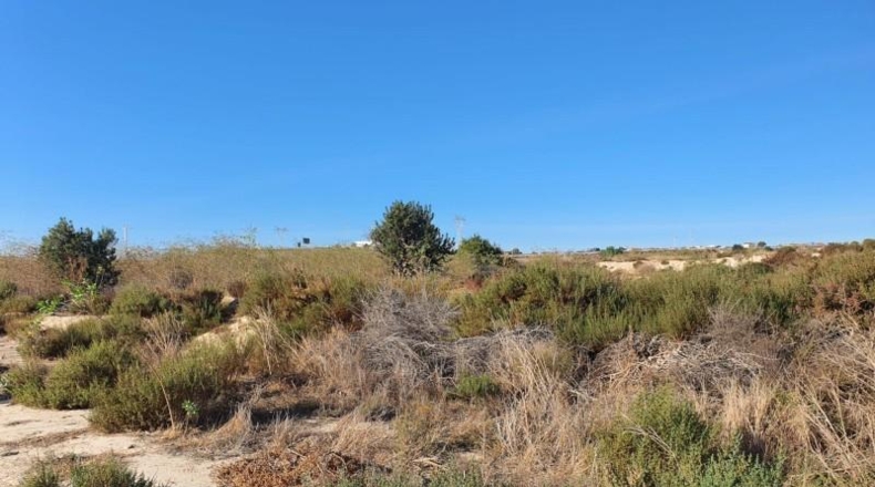 Alicante - el Rebolledo - 42700m2