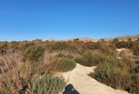 el Rebolledo 42700&nbsp;m² 