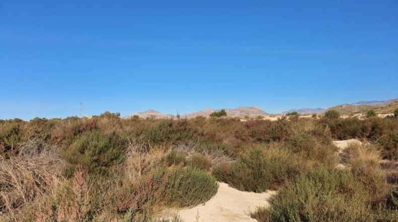 Alicante - el Rebolledo - 42700m2