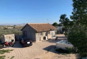 Molina de Segura 5000&nbsp;m²