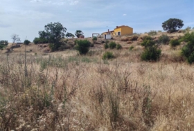 Hornachos 19000&nbsp;m²