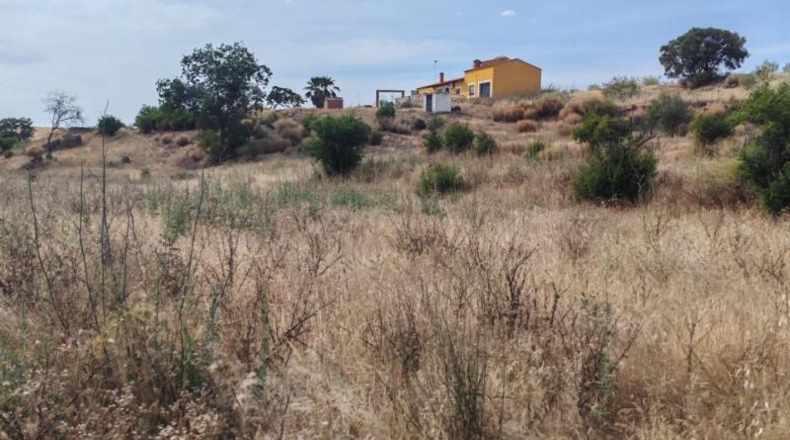 Badajoz - Hornachos - 19000m2