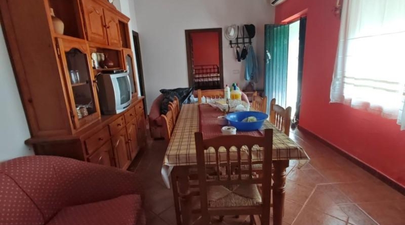 Badajoz - Hornachos - 19000m2