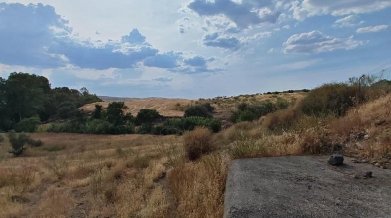 Badajoz - Hornachos - 19000m2