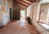 Country house with land for sale on España, Málaga, ref: TR414084 photo