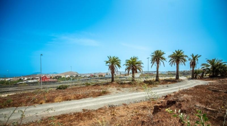 Las Palmas - Arucas - 2619m2