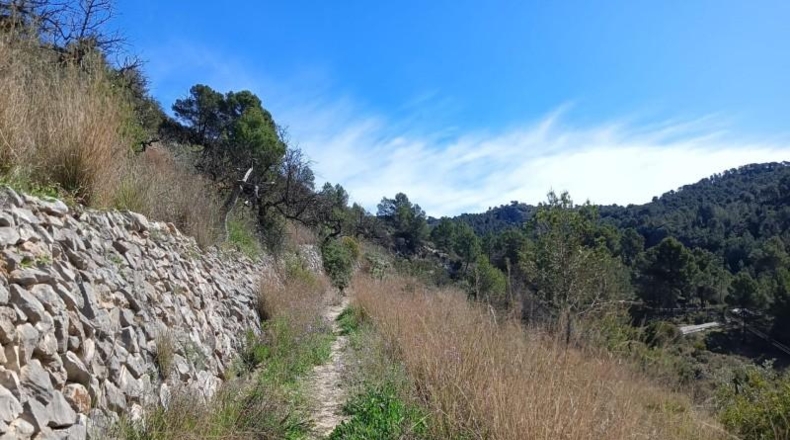 Alicante - Bolulla - 23000m2