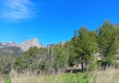 Terreny no urbanitzable en venda a la España, Bolulla, ref.: TR414089 foto