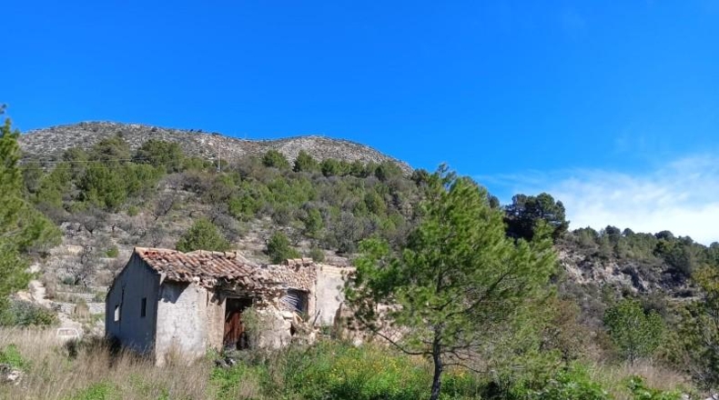 Alicante - Bolulla - 23000m2