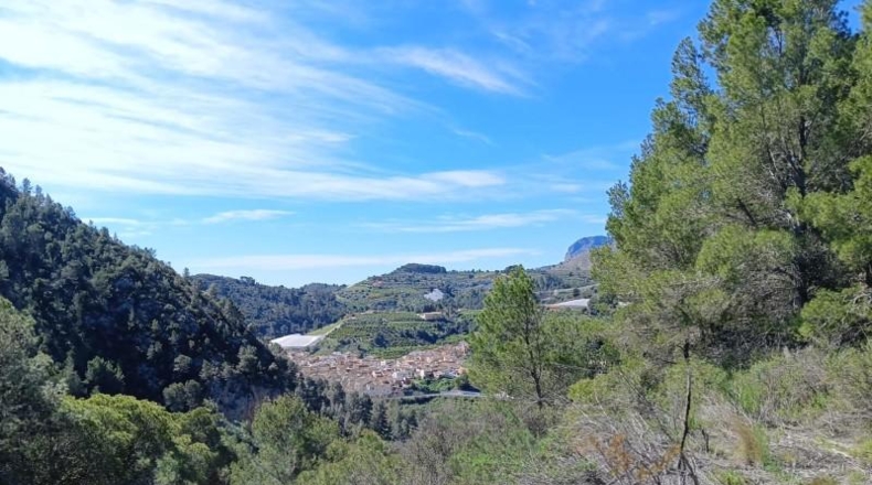 Alicante - Bolulla - 23000m2