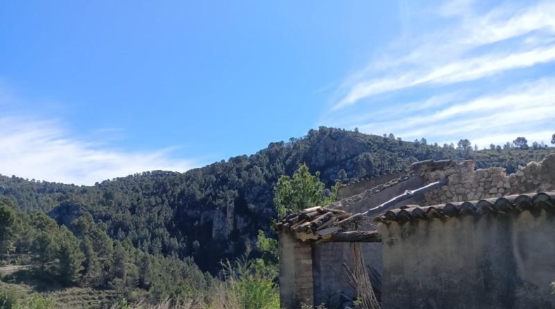 Alicante - Bolulla - 23000m2