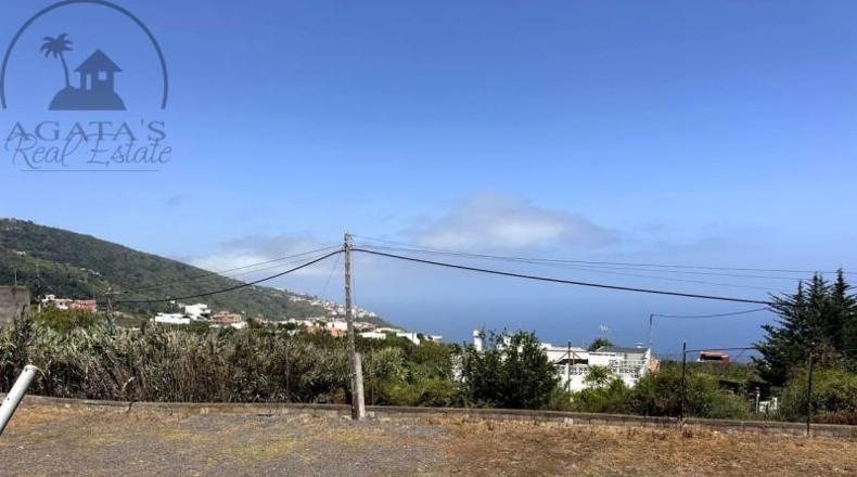 Santa Creu de Tenerife - Икод-де-лос-Винос - 735m2
