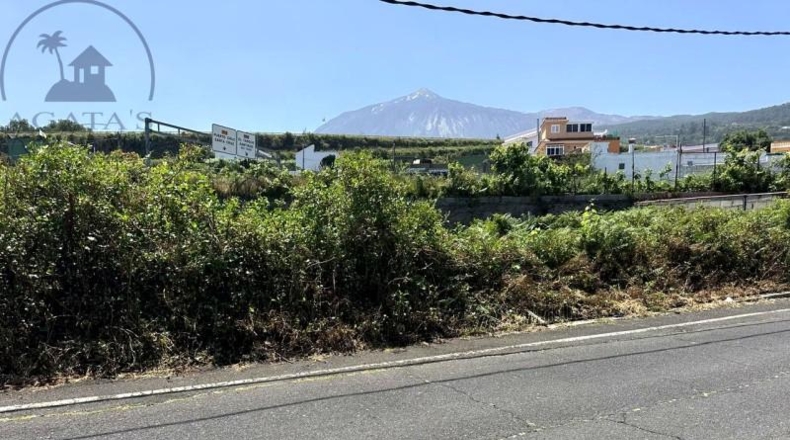 Santa Creu de Tenerife - Икод-де-лос-Винос - 735m2