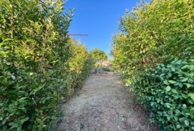 Vigo 336&nbsp;m²