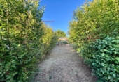 Casa de pueblo en venta en la España, Vigo, ref: TR414112 foto