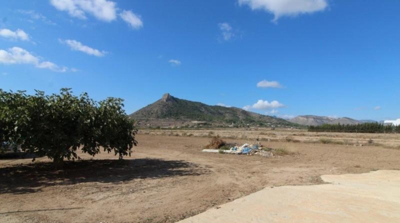 Alicante - Aspe - 150m2