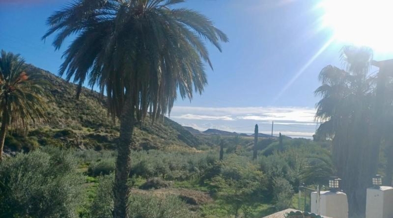 Almería - Pulpí - 11000m2