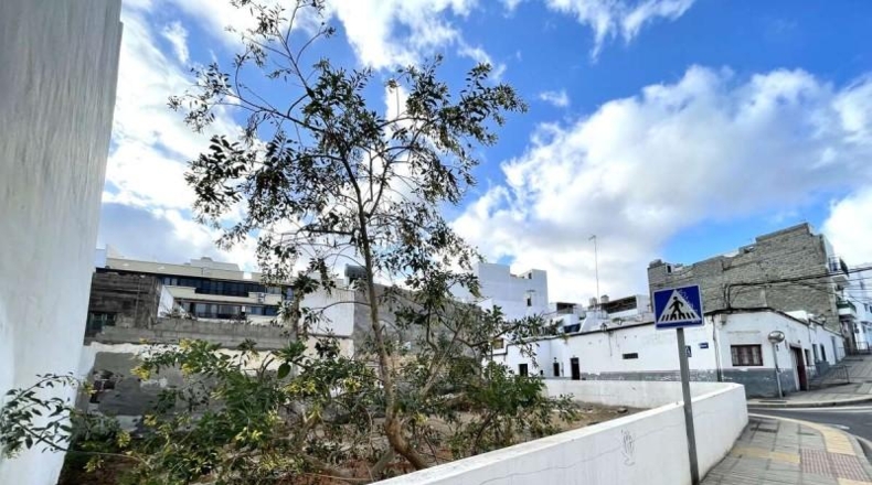 Las Palmas - Arrecife - 290m2