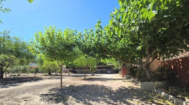 Alicante - Aspe - 6800m2