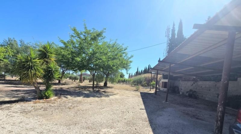 Alicante - Aspe - 6800m2