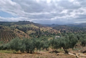 Comares 8500&nbsp;m² 