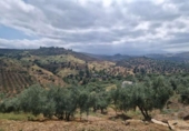 Country house with land for sale on España, Comares, ref: TR414126 photo