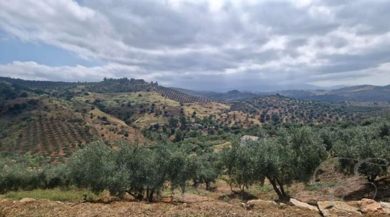 Málaga - Comares - 8500m2