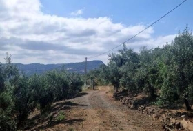 Comares 8500&nbsp;m² 