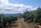 Country house with land for sale on España, Comares, ref: TR414126 photo