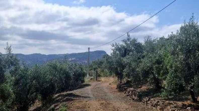 Málaga - Comares - 8500m2