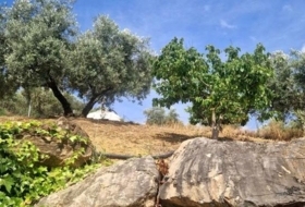 Comares 8500&nbsp;m² 
