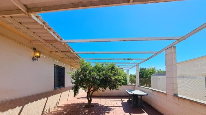 Valencia - Benicull de Xúquer - 3882m2