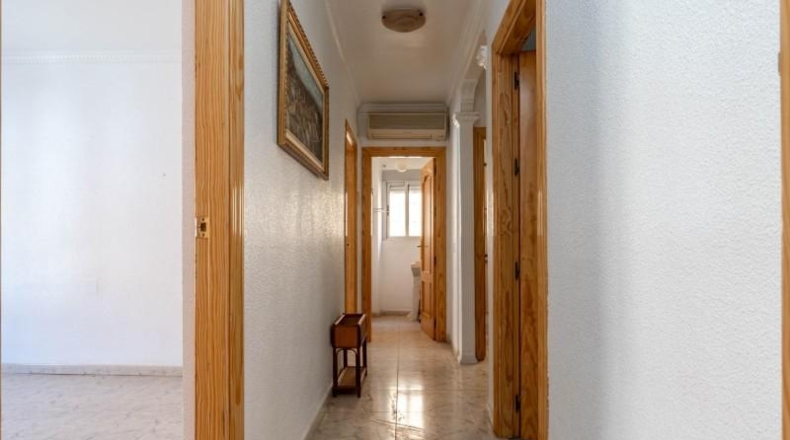Granada - Guadix - 477m2