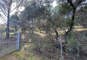 Rural estate for sale on España, Villaviciosa de Córdoba, ref: TR410344 photo