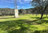 Rural estate for sale on España, Villaviciosa de Córdoba, ref: TR410344 photo