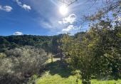 Rural estate for sale on España, Villaviciosa de Córdoba, ref: TR410344 photo
