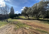 Rural estate for sale on España, Villaviciosa de Córdoba, ref: TR410344 photo