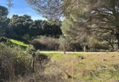 Rural estate for sale on España, Villaviciosa de Córdoba, ref: TR410344 photo