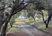 Rural estate for sale on España, Villaviciosa de Córdoba, ref: TR410344 photo