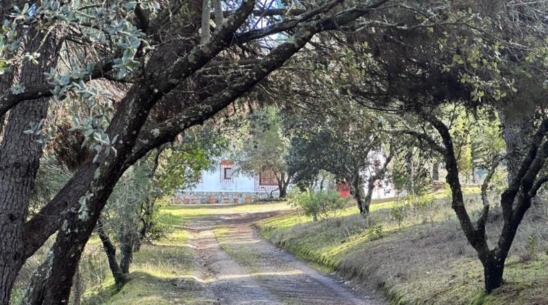 Кордова - Villaviciosa de Córdoba - 100000m2