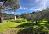 Rural estate for sale on España, Villaviciosa de Córdoba, ref: TR410344 photo