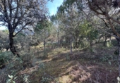 Rural estate for sale on España, Villaviciosa de Córdoba, ref: TR410344 photo