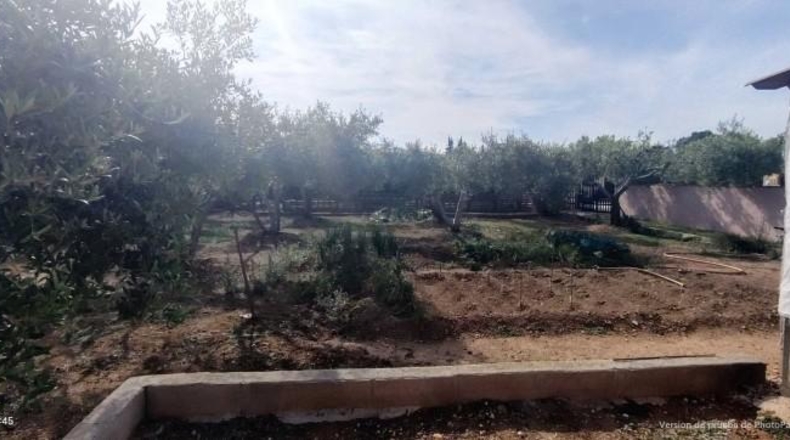 Tarragona - Valls - 3000m2