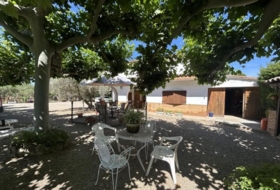Cascante 4000&nbsp;m²